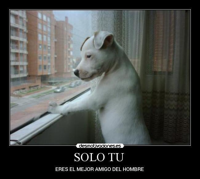 SOLO TU -