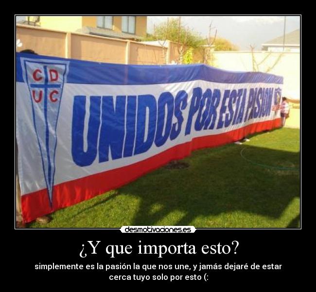 ¿Y que importa esto? - simplemente es la pasión la que nos une, y jamás dejaré de estar
cerca tuyo solo por esto (: