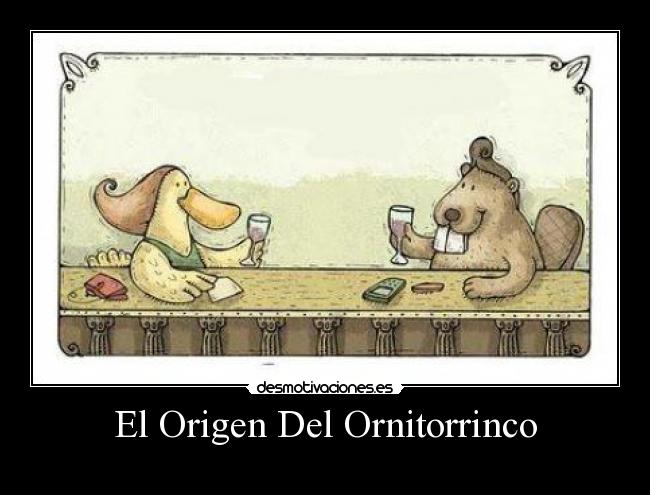 El Origen Del Ornitorrinco -