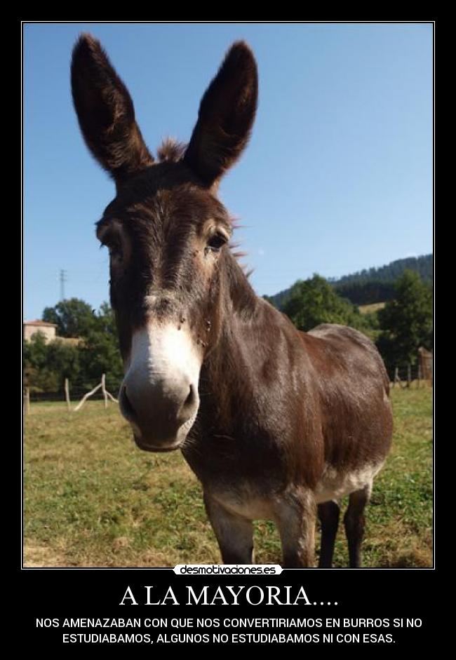 carteles miguel187 desmotivaciones