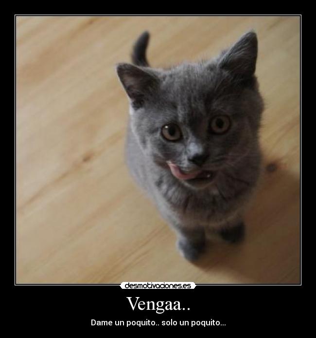 Vengaa.. -