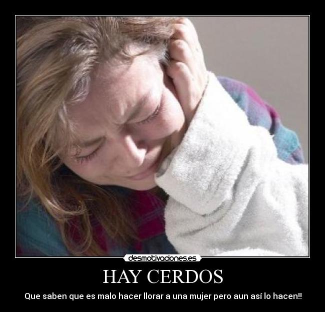 HAY CERDOS - 