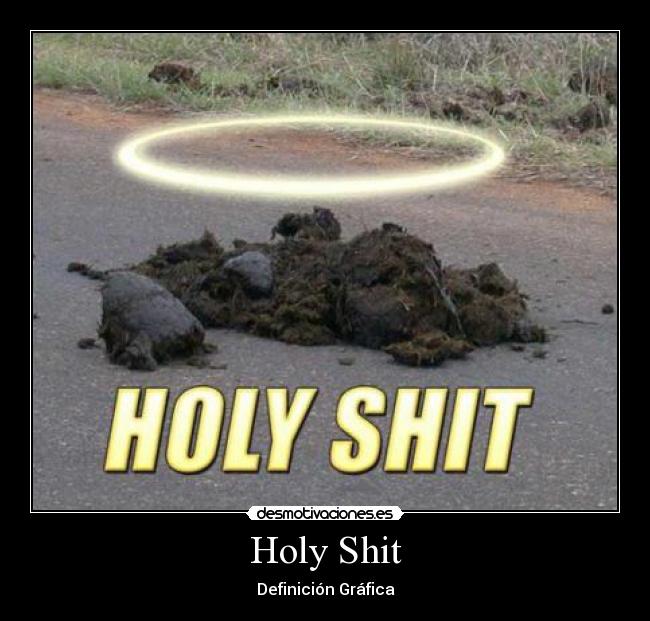 carteles holy shit desmotivaciones