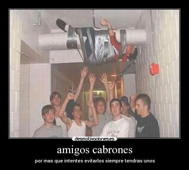 amigos cabrones - 