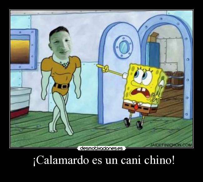  ¡Calamardo es un cani chino! - 