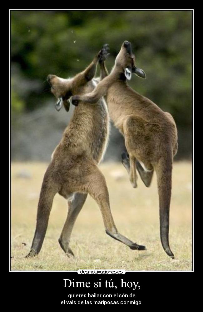 carteles diga que quiere diga nada aunque quiera quiera via enviola desmotivaciones