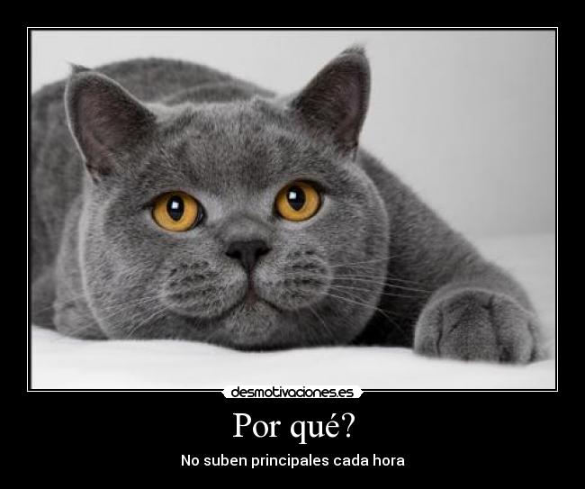 Por qué? - No suben principales cada hora