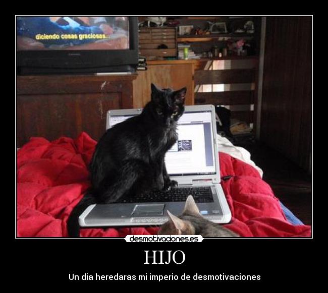 HIJO - 