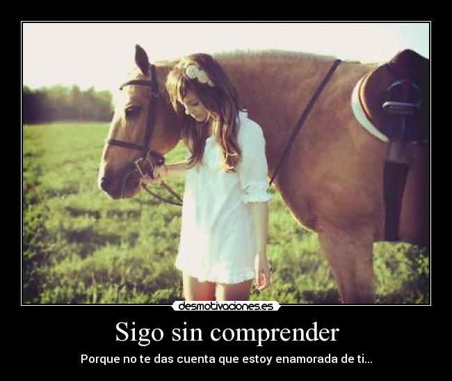 Sigo sin comprender - 