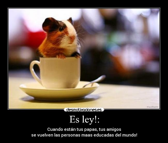 carteles educadas del mundo desmotivaciones