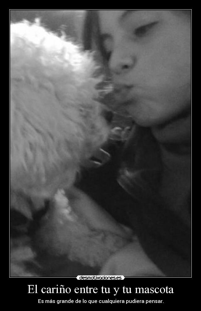 El cariño entre tu y tu mascota -