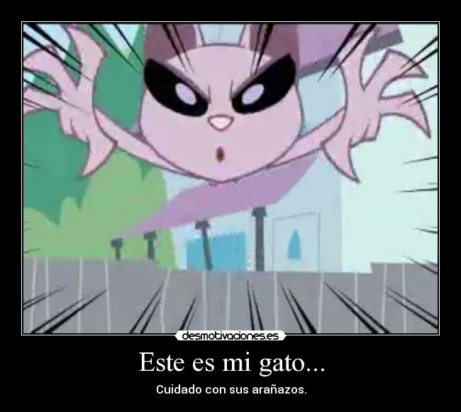 Este es mi gato... -