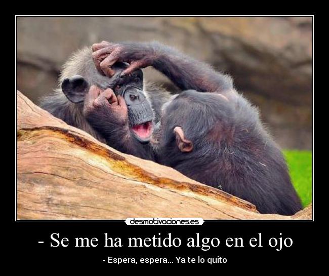 - Se me ha metido algo en el ojo -