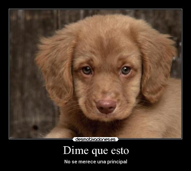Dime que esto - 