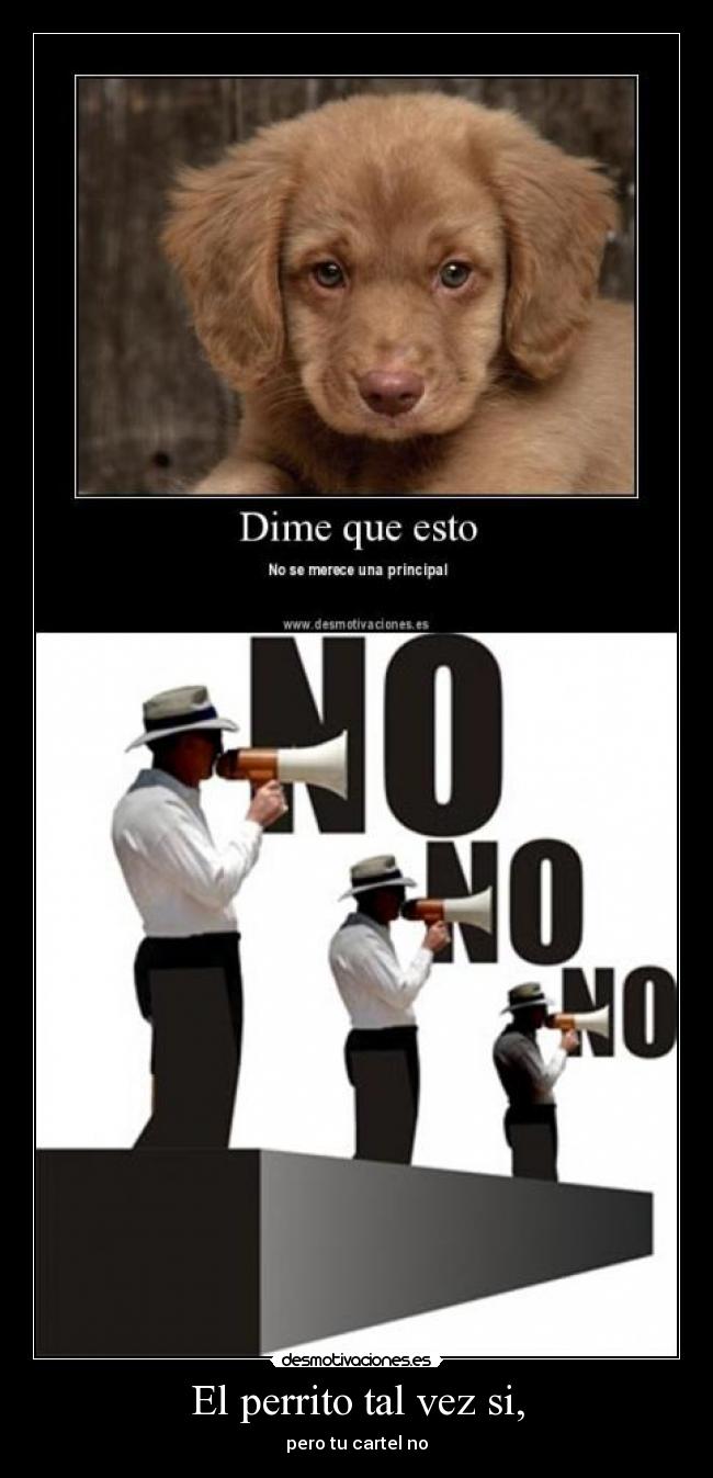 El perrito tal vez si, - 