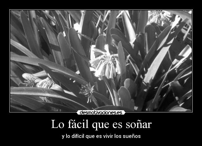 Lo fácil que es soñar -
