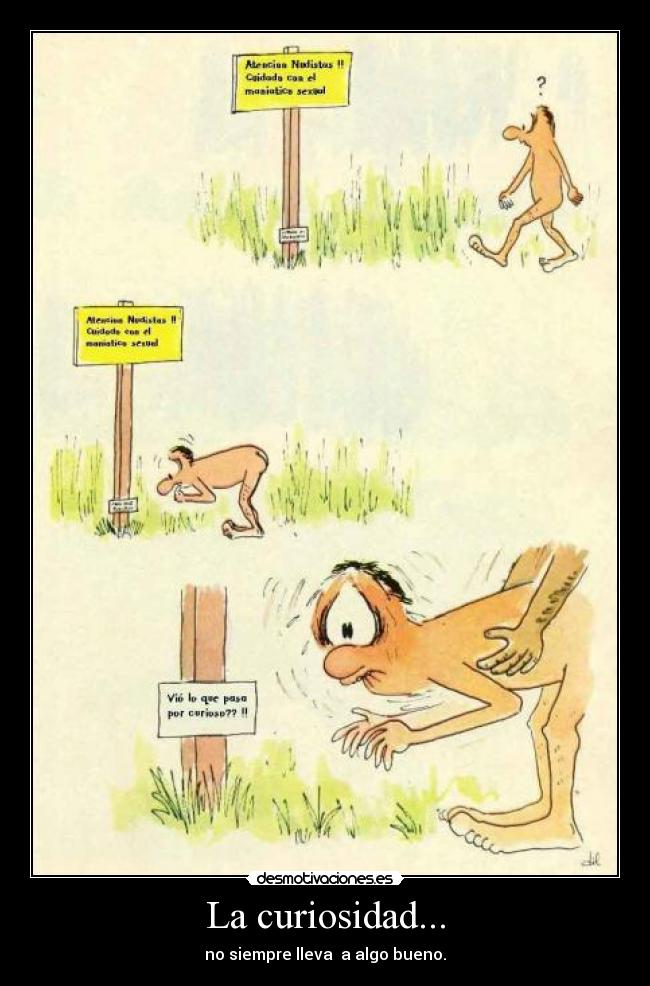 La curiosidad... - no siempre lleva a algo bueno.