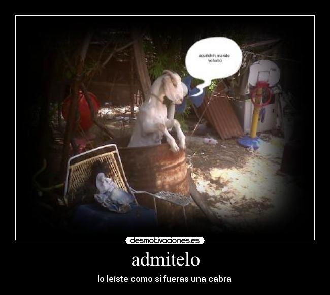 carteles cabra desmotivaciones