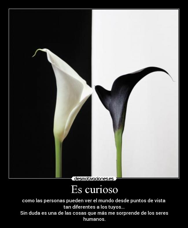 Es curioso -