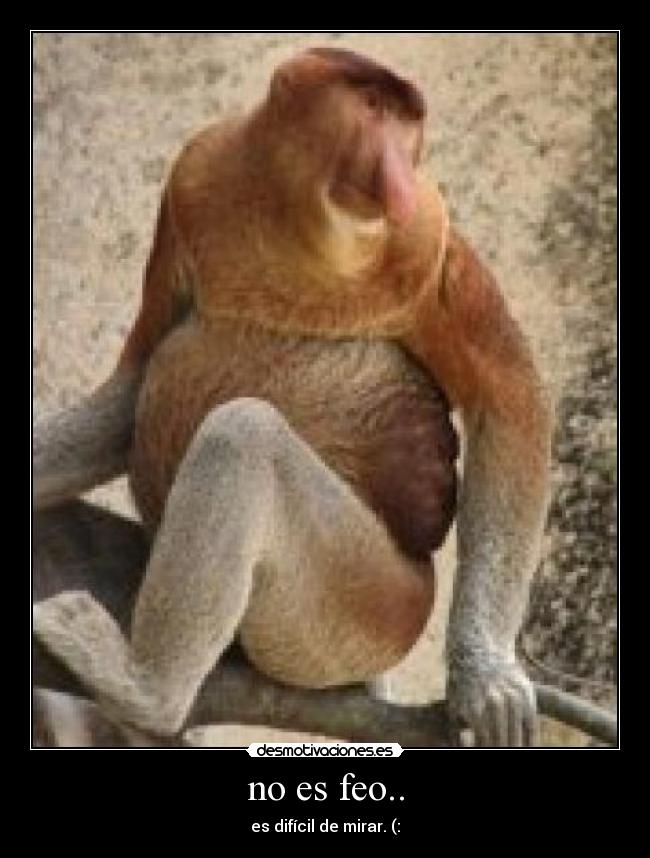 carteles beita11 desmotivaciones