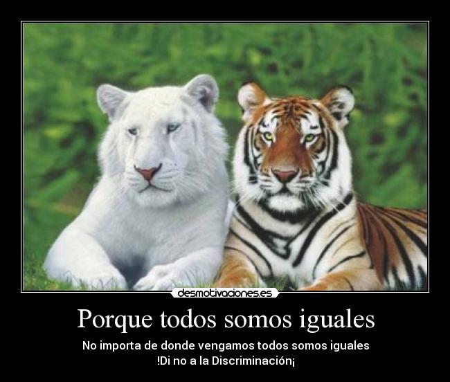 carteles igualdad desmotivaciones