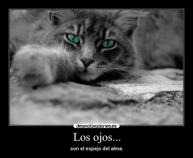 Los ojos... - son el espejo del alma.