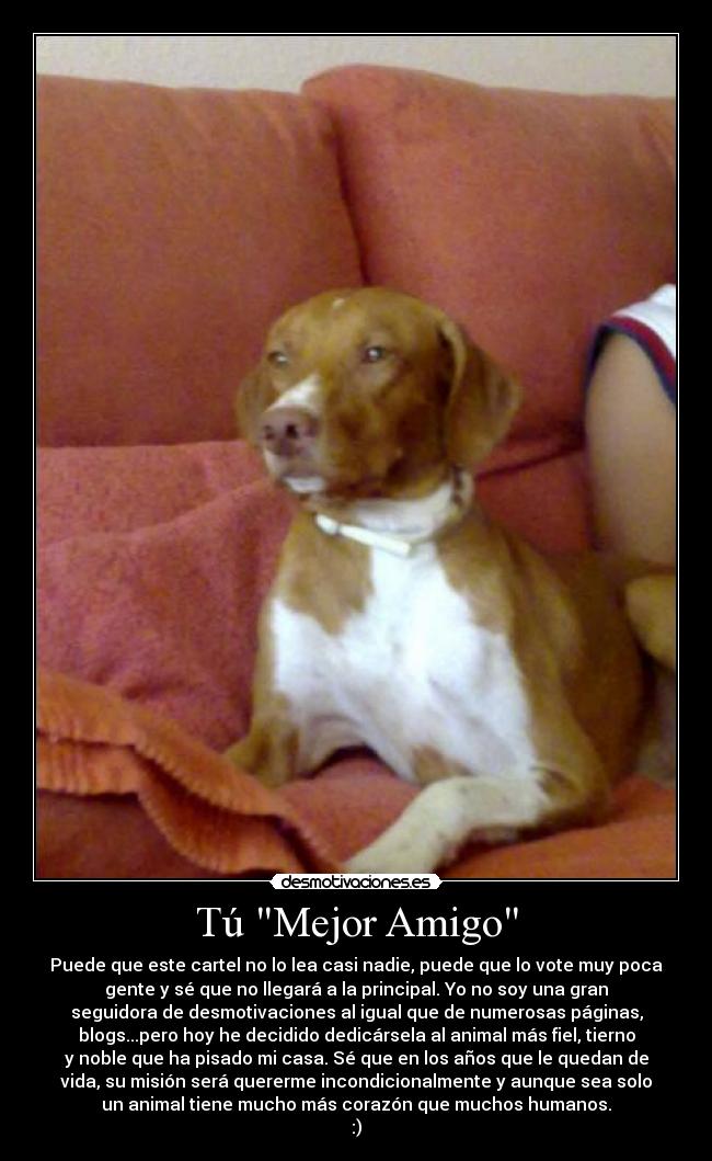 Tú Mejor Amigo -