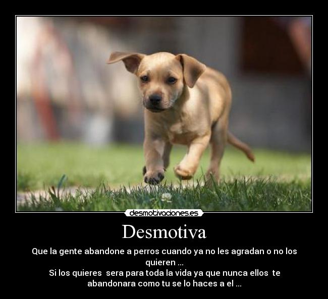 Desmotiva - Que la gente abandone a perros cuando ya no les agradan o no los
quieren ...
Si los quieres  sera para toda la vida ya que nunca ellos  te
abandonara como tu se lo haces a el ...