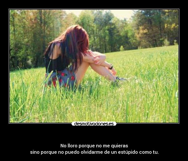   - No lloro porque no me quieras
sino porque no puedo olvidarme de un estúpido como tu.