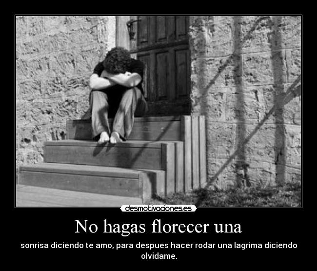 No hagas florecer una - sonrisa diciendo te amo, para despues hacer rodar una lagrima diciendo olvidame.