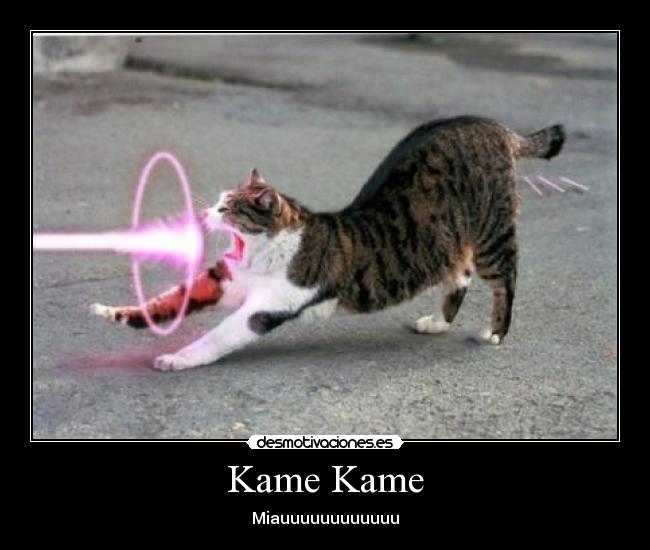 Kame Kame - Miauuuuuuuuuuuu