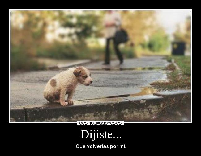 Dijiste... - Que volverías por mi.