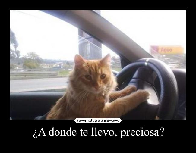 ¿A donde te llevo, preciosa? -