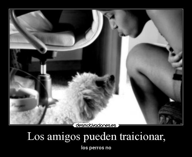 Los amigos pueden traicionar, -