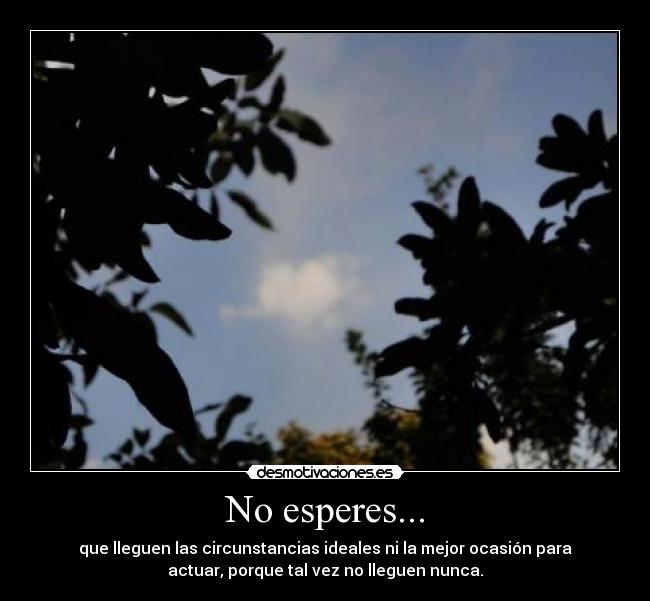 No esperes... - que lleguen las circunstancias ideales ni la mejor ocasión para
actuar, porque tal vez no lleguen nunca.