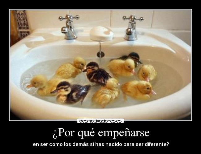 ¿Por qué empeñarse - en ser como los demás si has nacido para ser diferente?