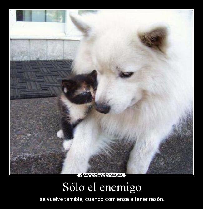 Sólo el enemigo - se vuelve temible, cuando comienza a tener razón.
