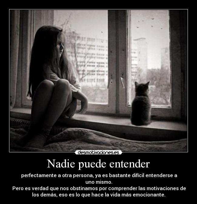 carteles neon genesis desmotivaciones