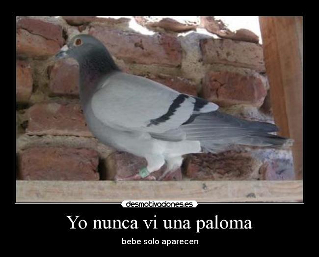 Yo nunca vi una paloma - 