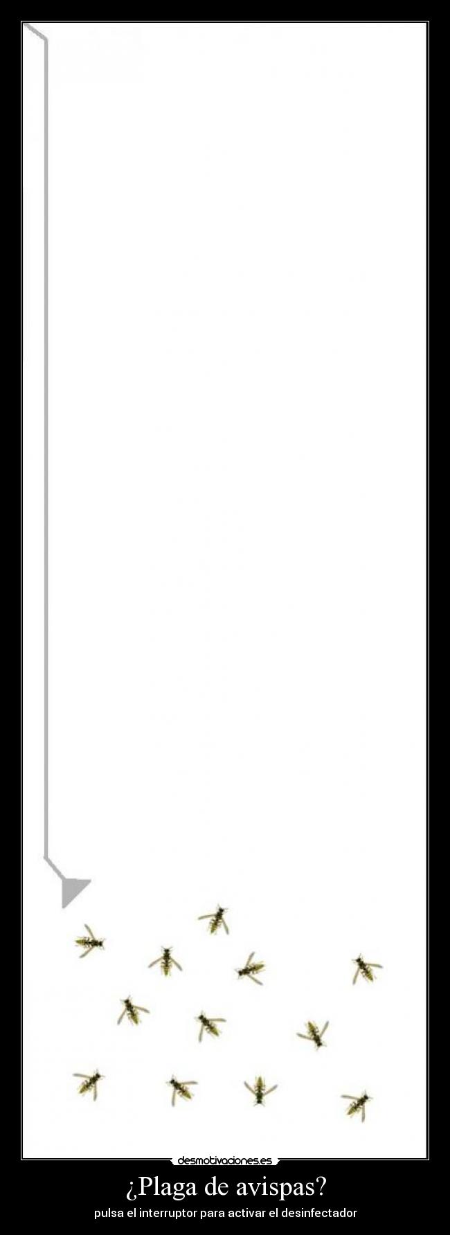 ¿Plaga de avispas? - pulsa el interruptor para activar el desinfectador