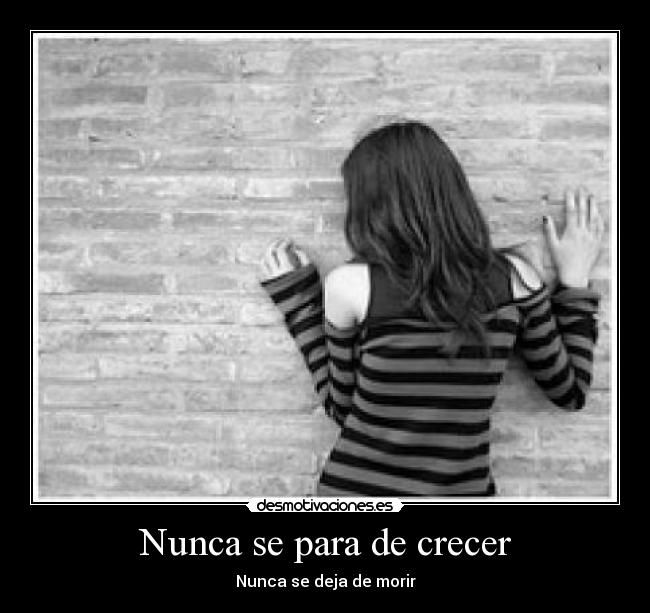 carteles nunca desmotivaciones