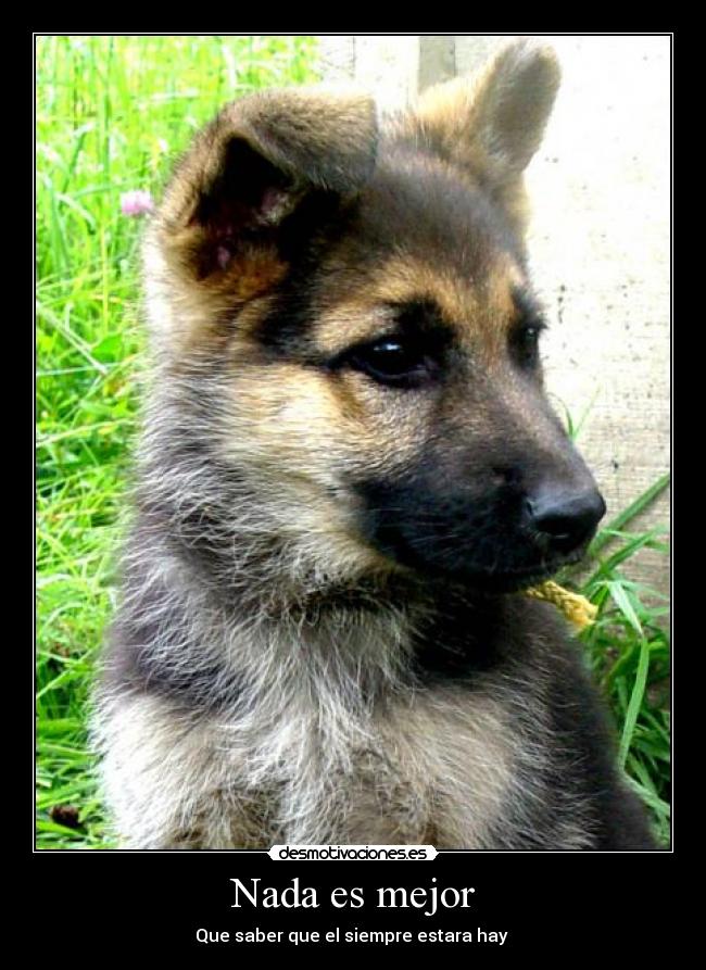 Nada es mejor - Que saber que el siempre estara hay