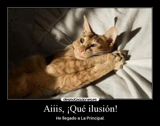 Aiiis, ¡Qué ilusión! -