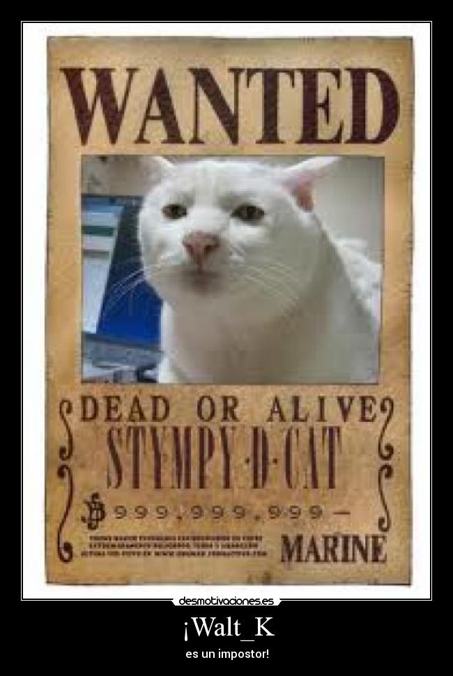 ¡Walt_K - es un impostor!