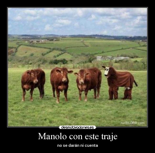 Manolo con este traje -