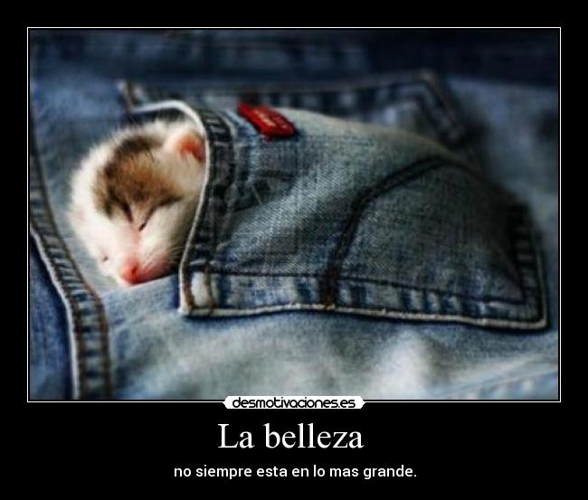 La belleza - no siempre esta en lo mas grande.