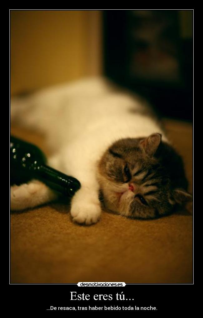 Este eres tú... - ...De resaca, tras haber bebido toda la noche.