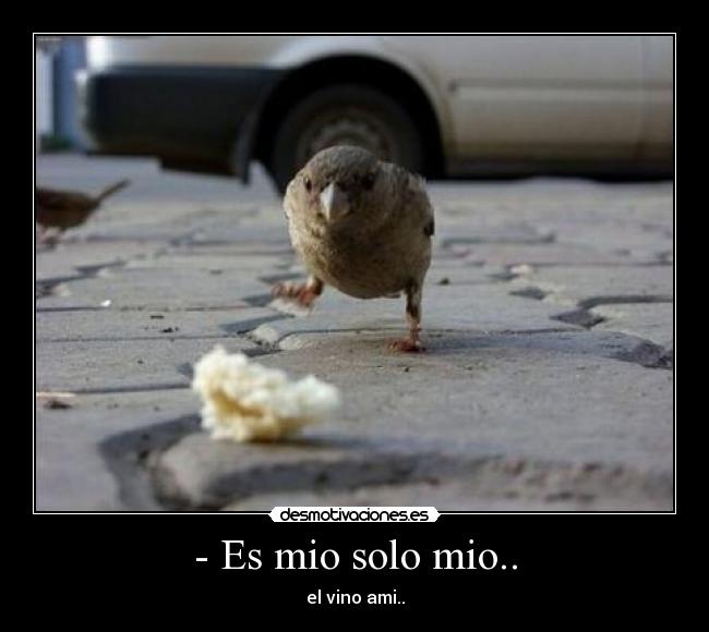 Solo Mio