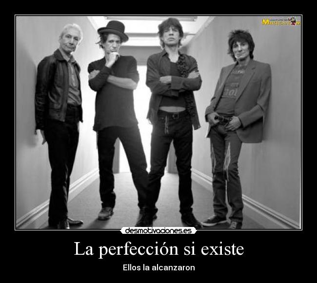 La perfección si existe -