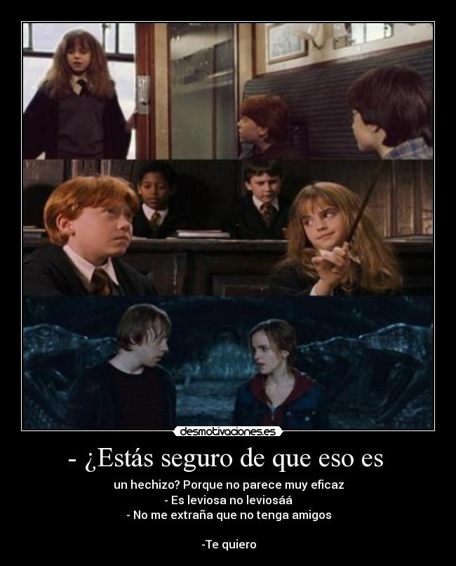 HECHIZO HARRY POTTER hechizo harry potter: